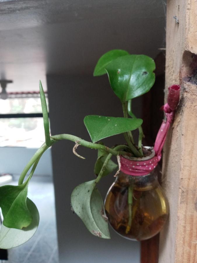 Eco Art Best View Мачу Пикчу Екстериор снимка