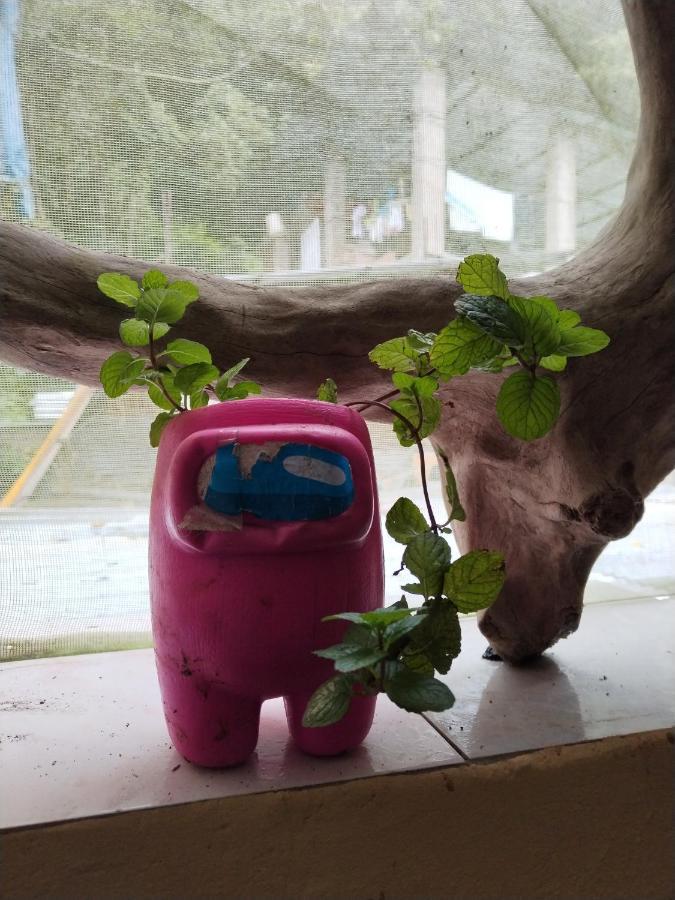 Eco Art Best View Мачу Пикчу Екстериор снимка